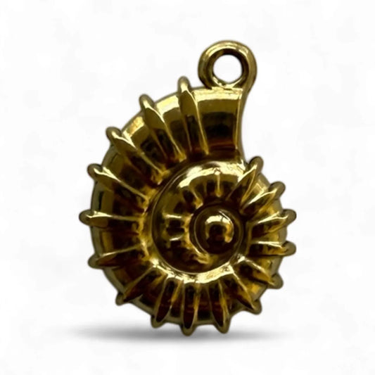 Large ammonite charm